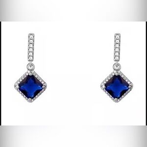 Elegant Blue and Silver Drop Earrings